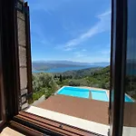 Anemones By Omikron Selections *