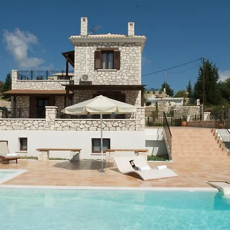 Anemones By Omikron Selections *