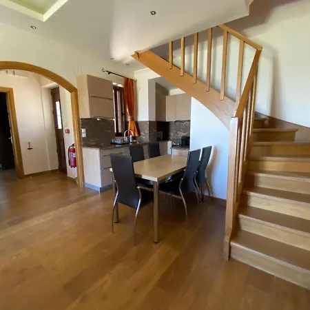 Anemones By Omikron Selections *