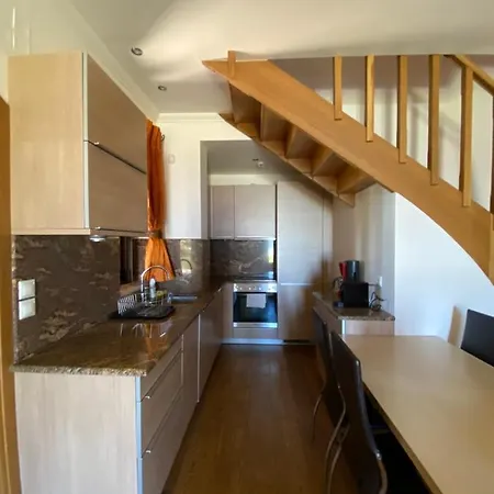 Anemones By Omikron Selections