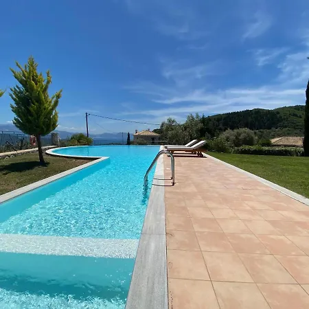 Anemones By Omikron Selections