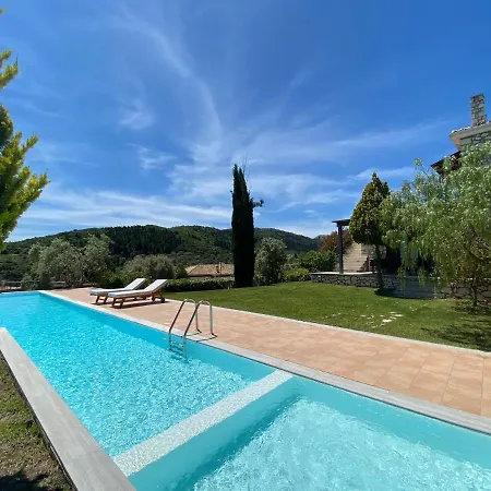 Anemones By Omikron Selections * Spanokhórion