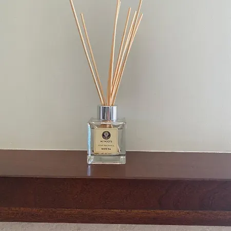 Anemones By Omikron Selections *