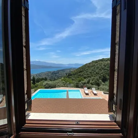 Anemones By Omikron Selections *